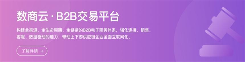 制作最好的b2b电商系统网站,找哪家网站开发平台靠谱-商侣软件