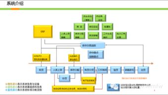 wms系统实施真实案例